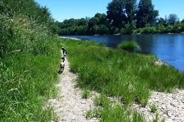 Willamette Park Off Leash Area photo 1